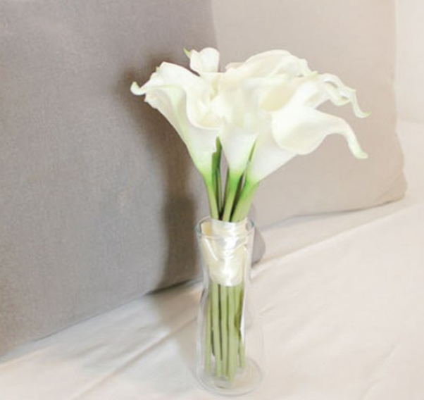 WHITE の画像