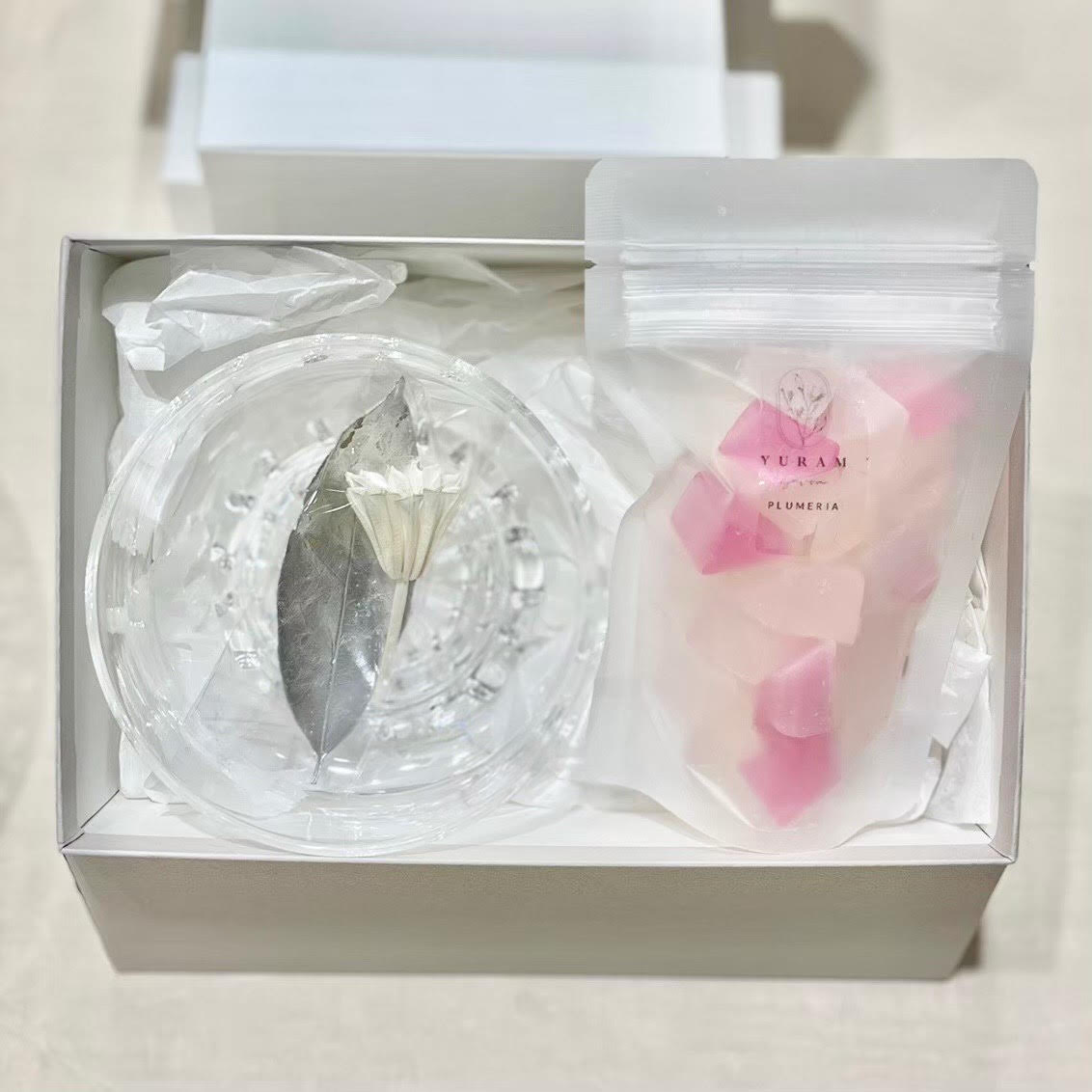 プルメリア の画像