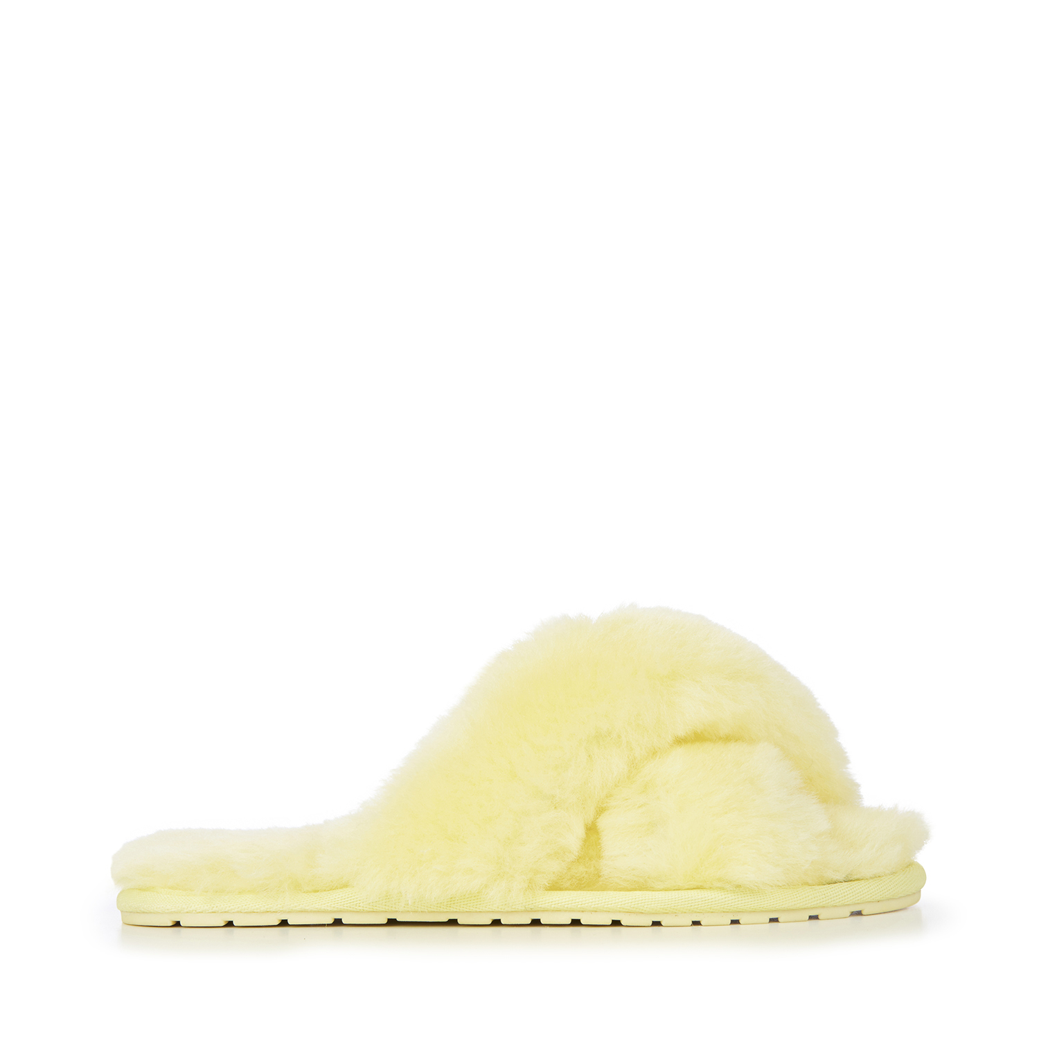 lemon　W7（24cm） の画像