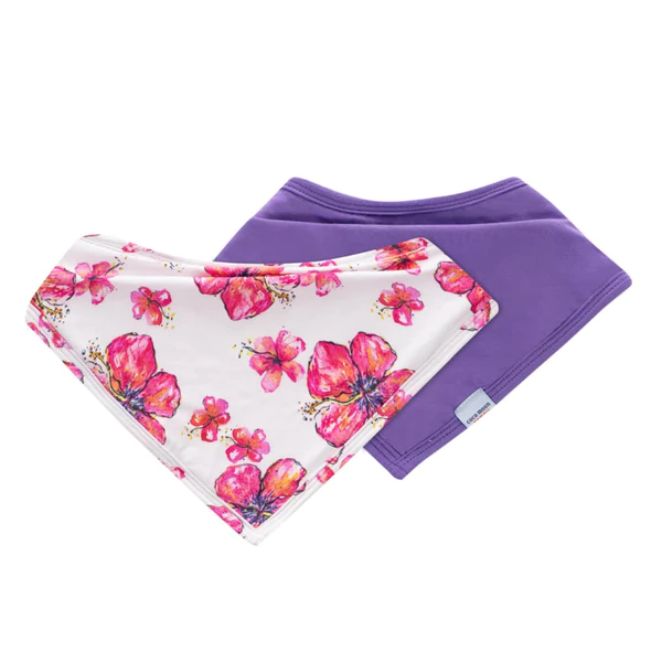 Hibiscus の画像