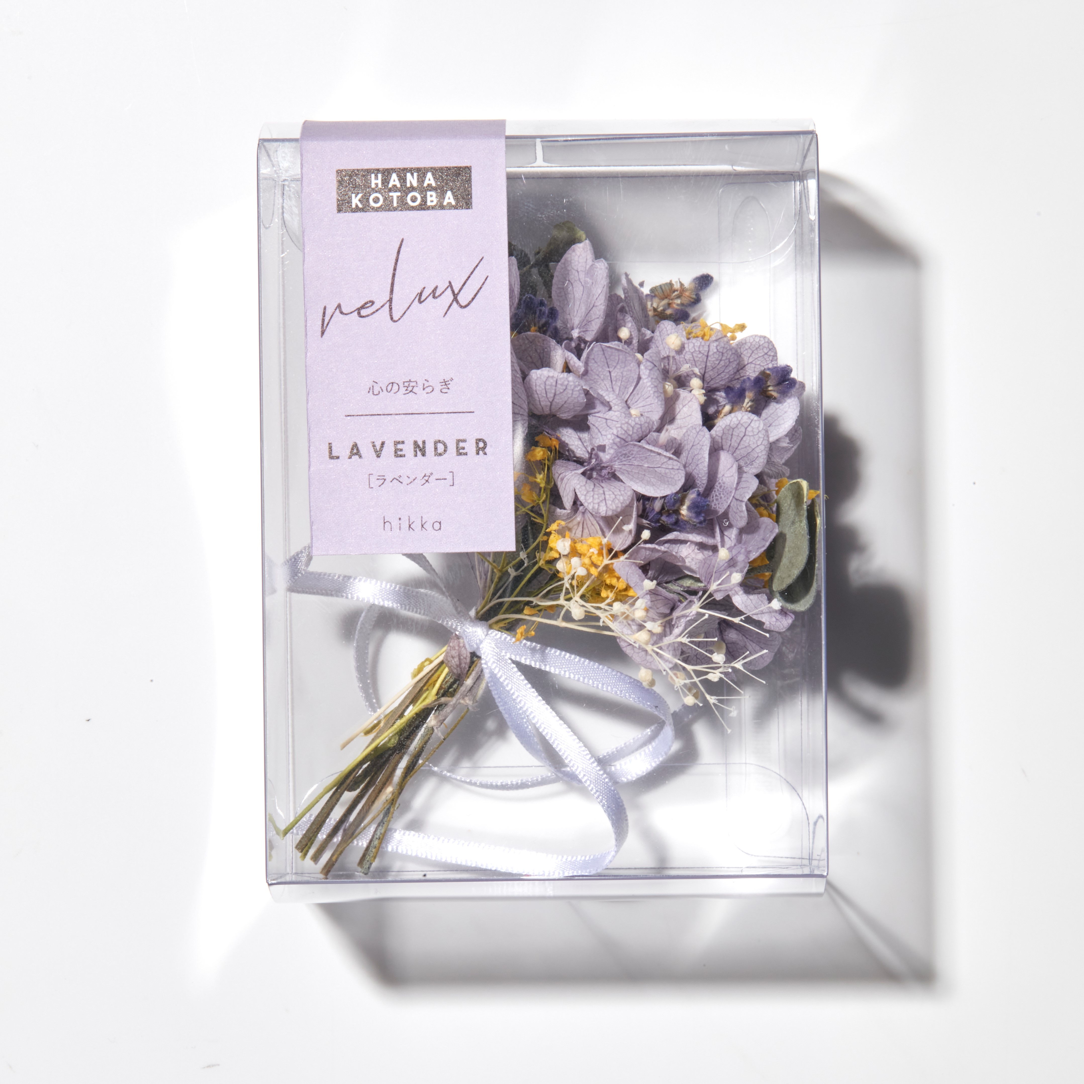 PURPLE／ラベンダー の画像