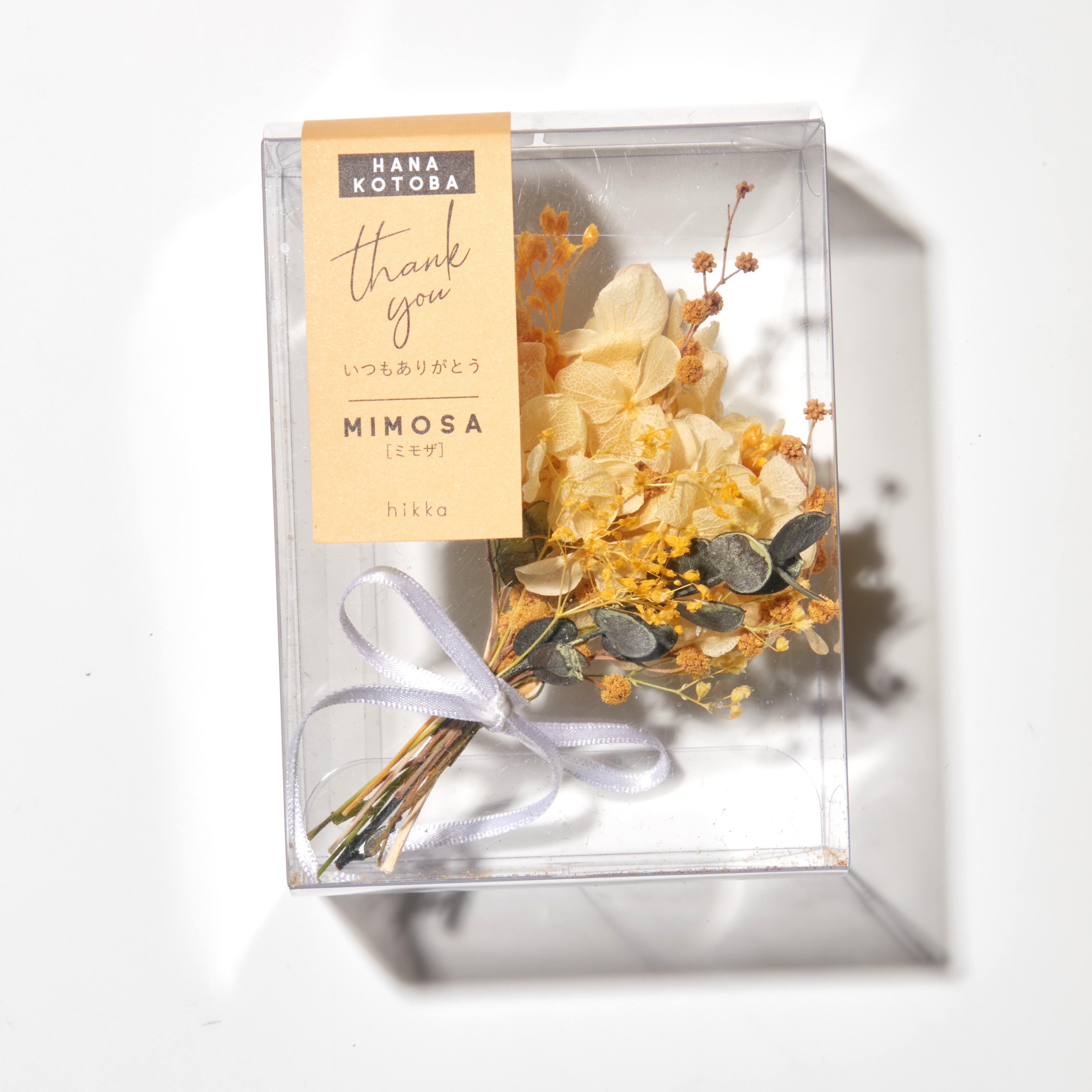 MIMOSA／ミモザ の画像