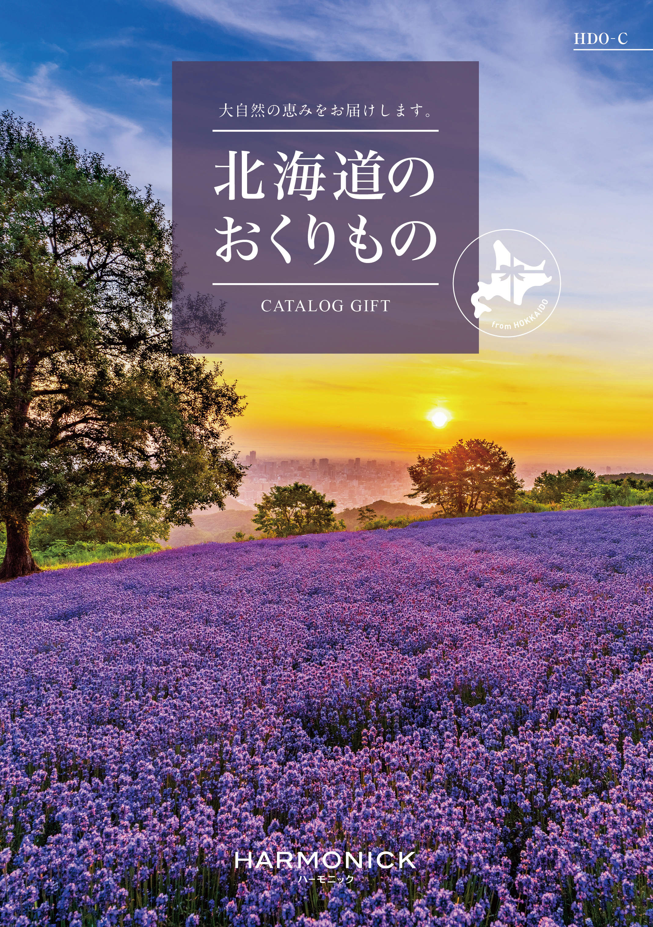 北海道のおくりもの　HDO-Cコース の画像