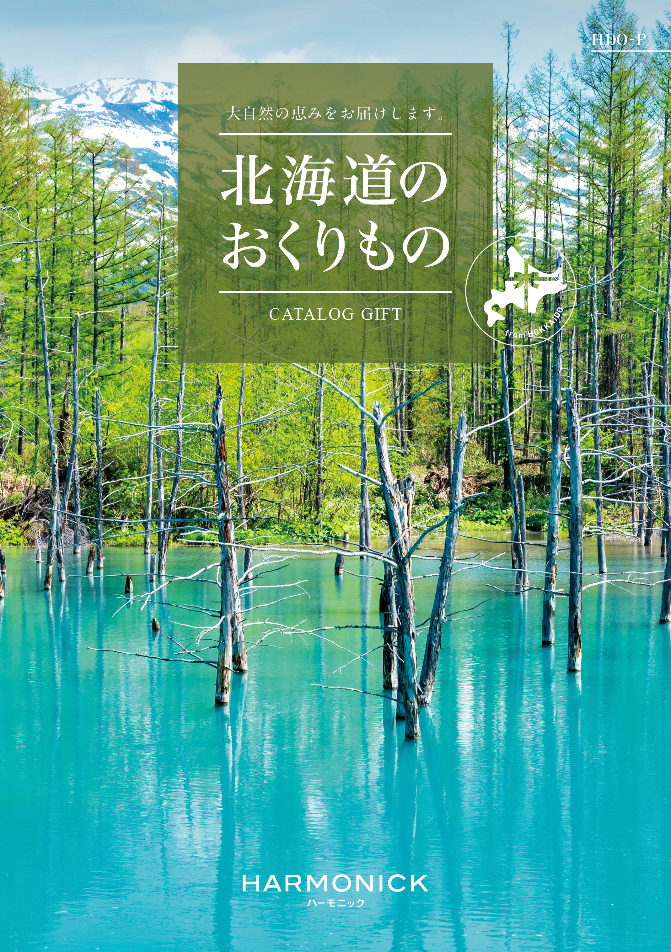 北海道のおくりもの　HDO-Pコース の画像