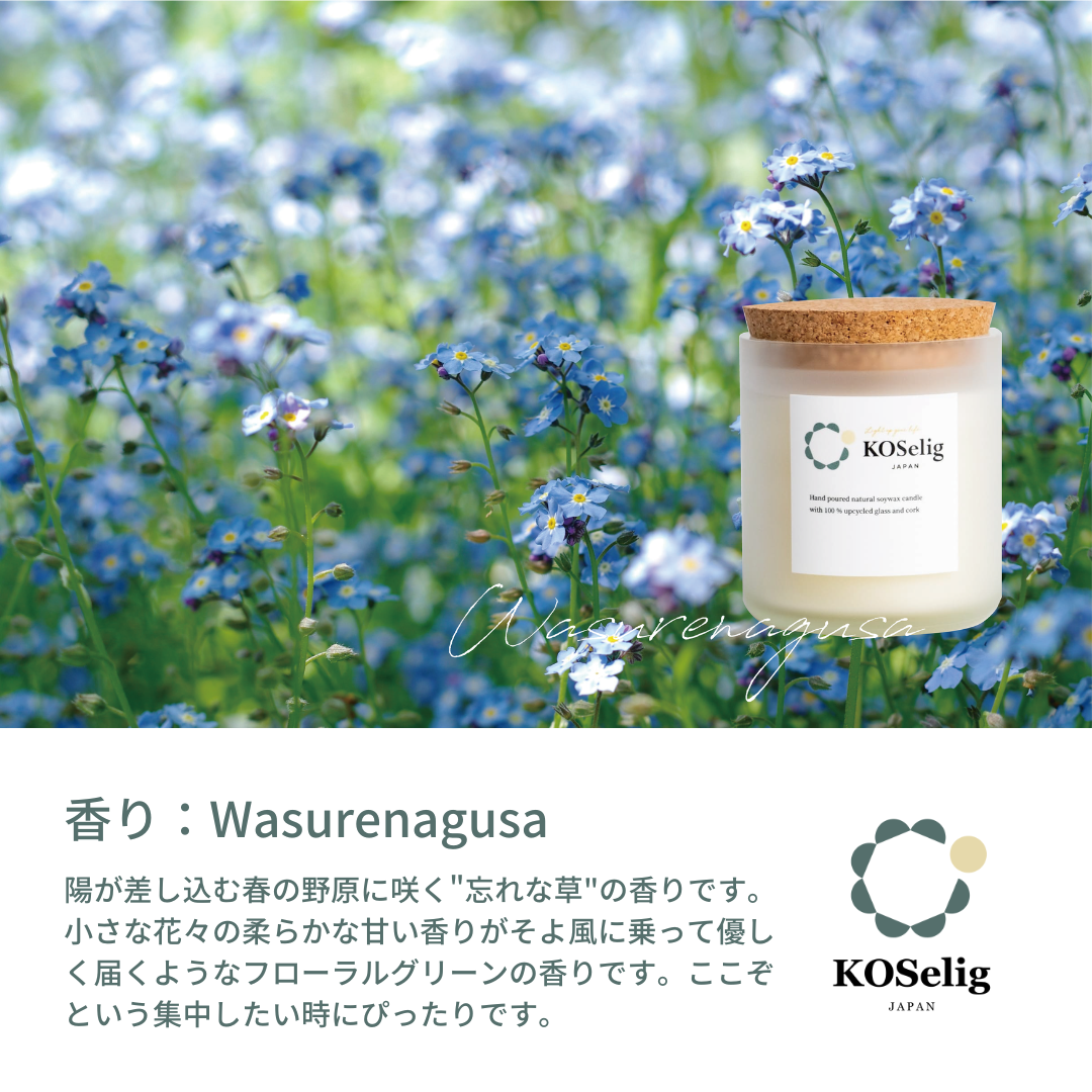 忘れな草 の画像