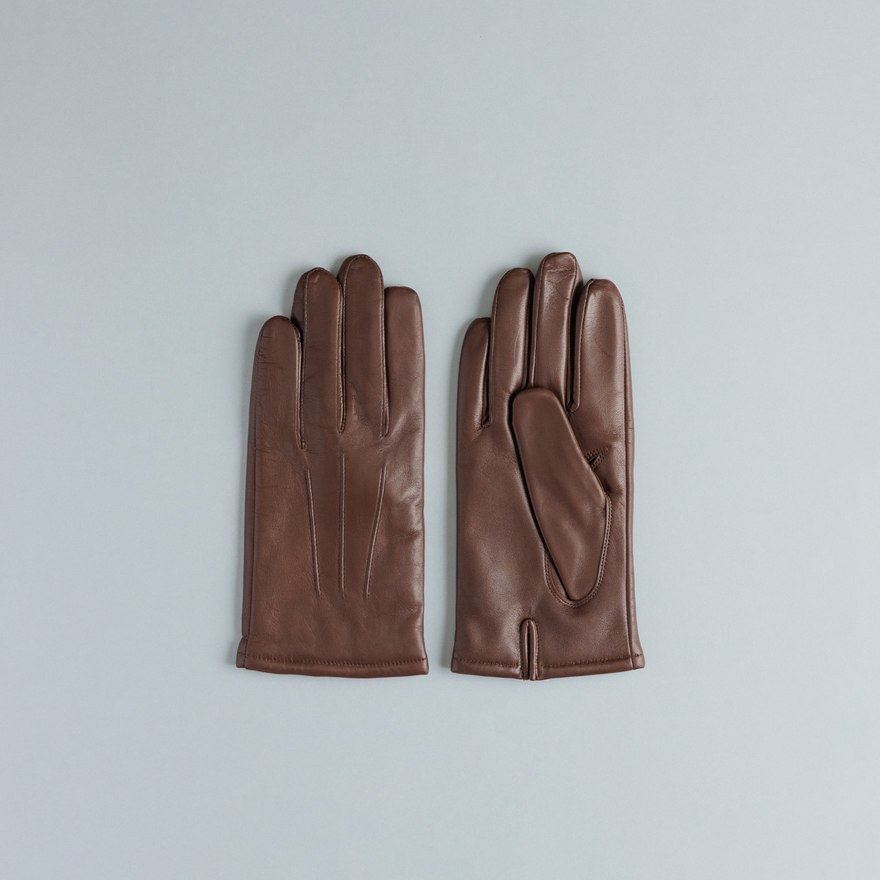 TAN 24 cm の画像
