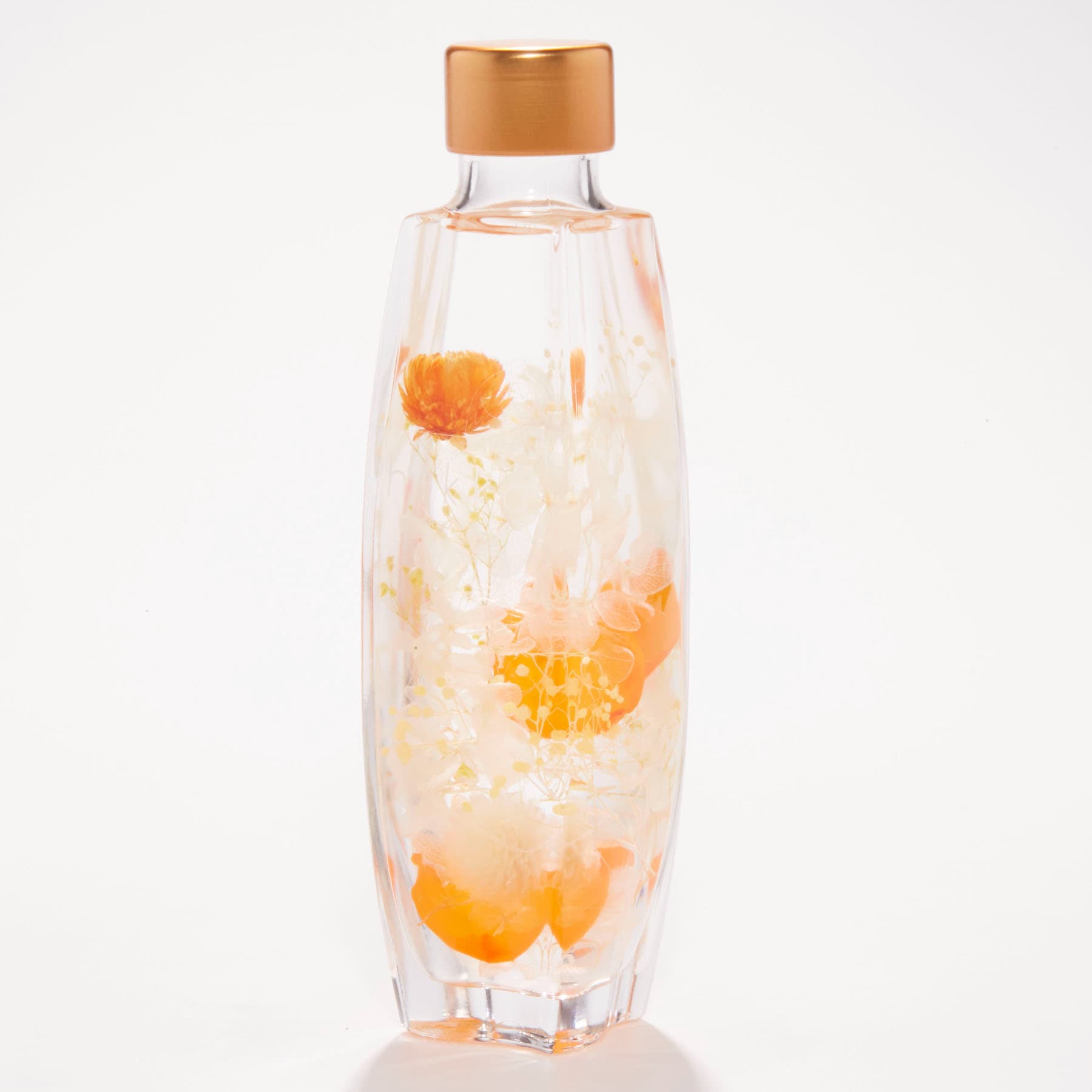 ORANGE の画像