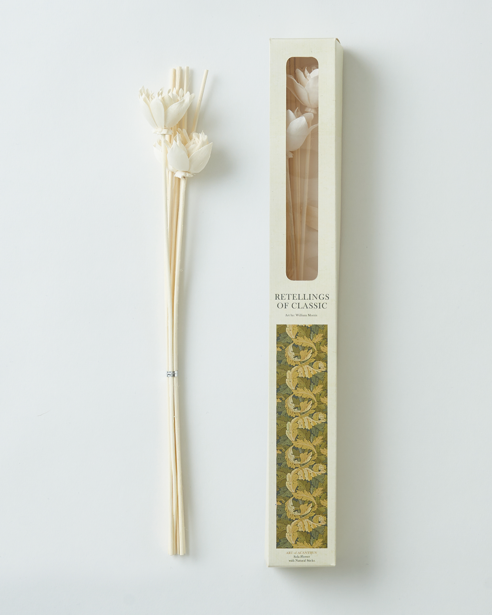 ACANTHUS の画像