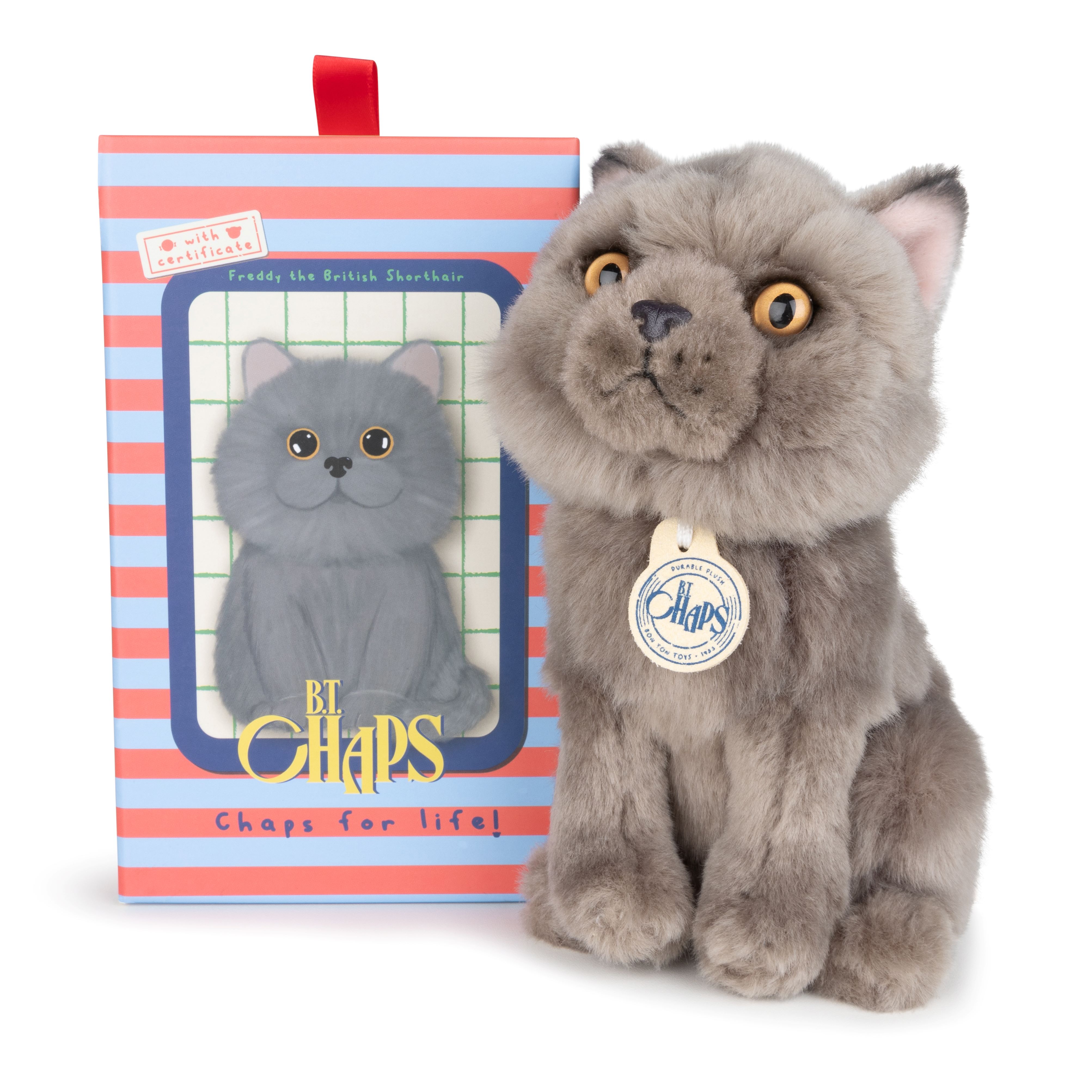 British Shorthair 17cm in GB の画像