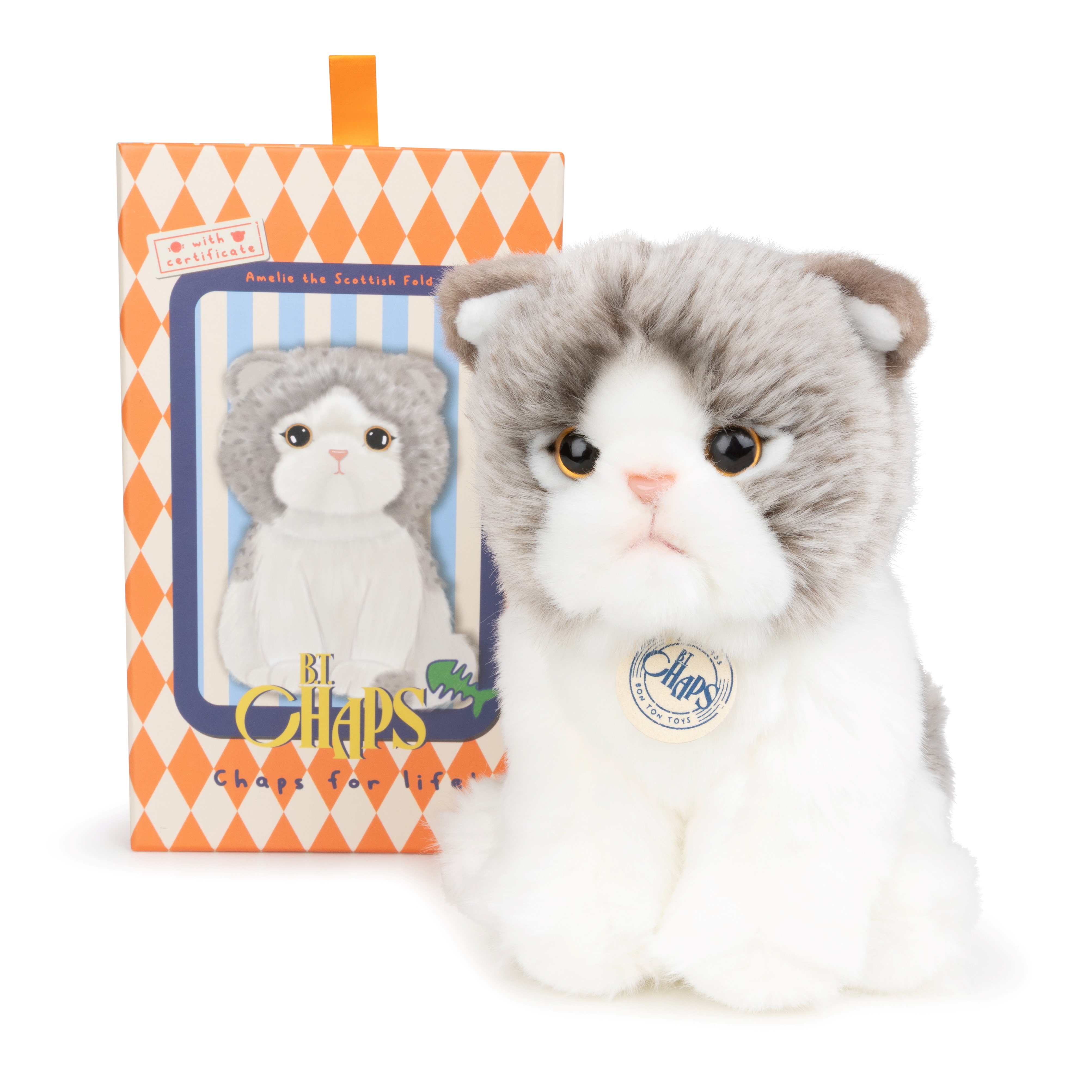 Scottish Fold 17cm in GB の画像