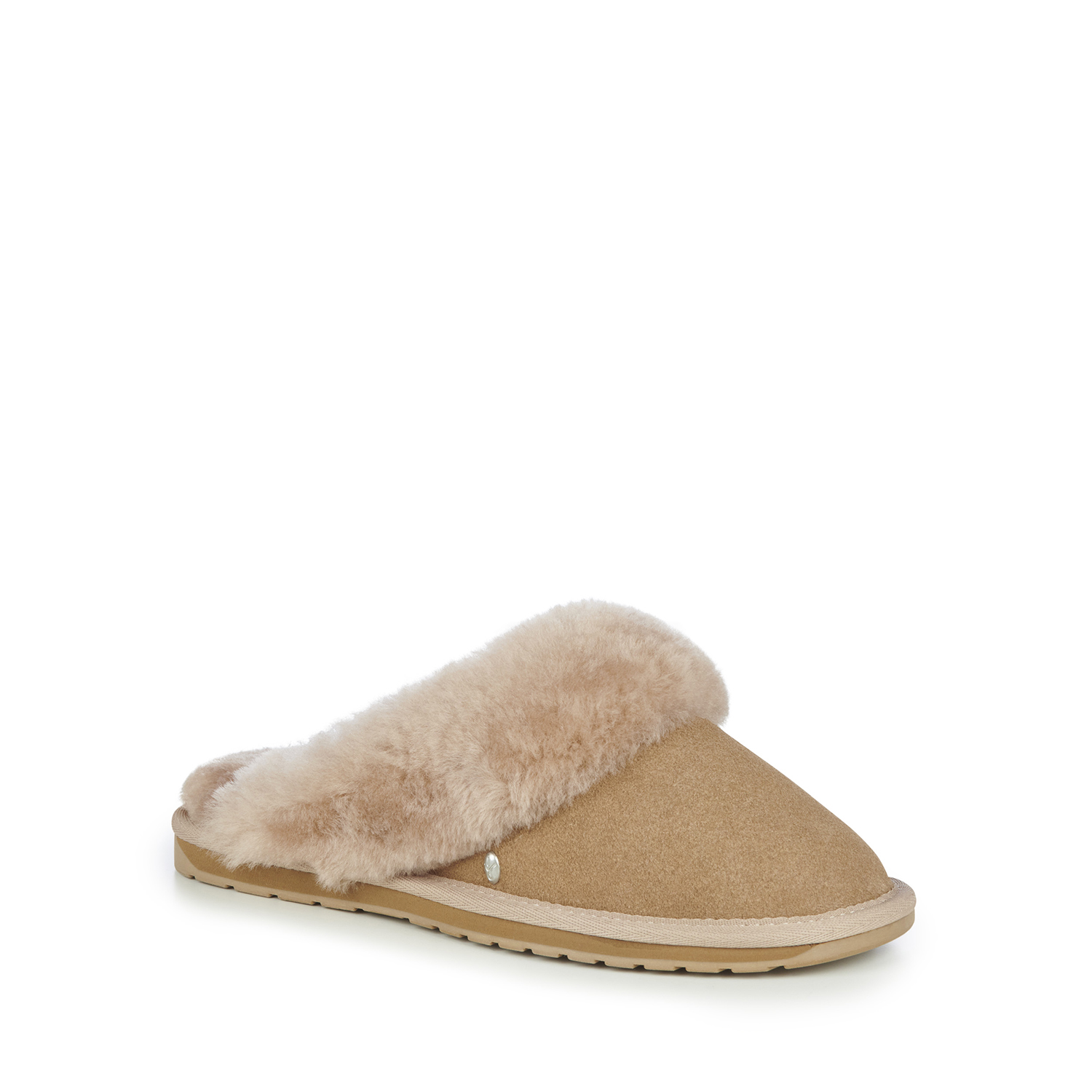 Camel　W7（24㎝） の画像
