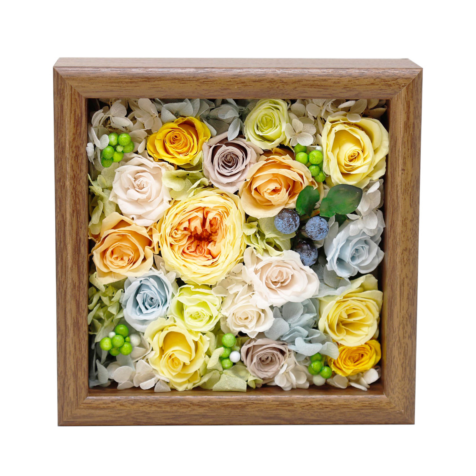 ブラウン×イエロー の画像