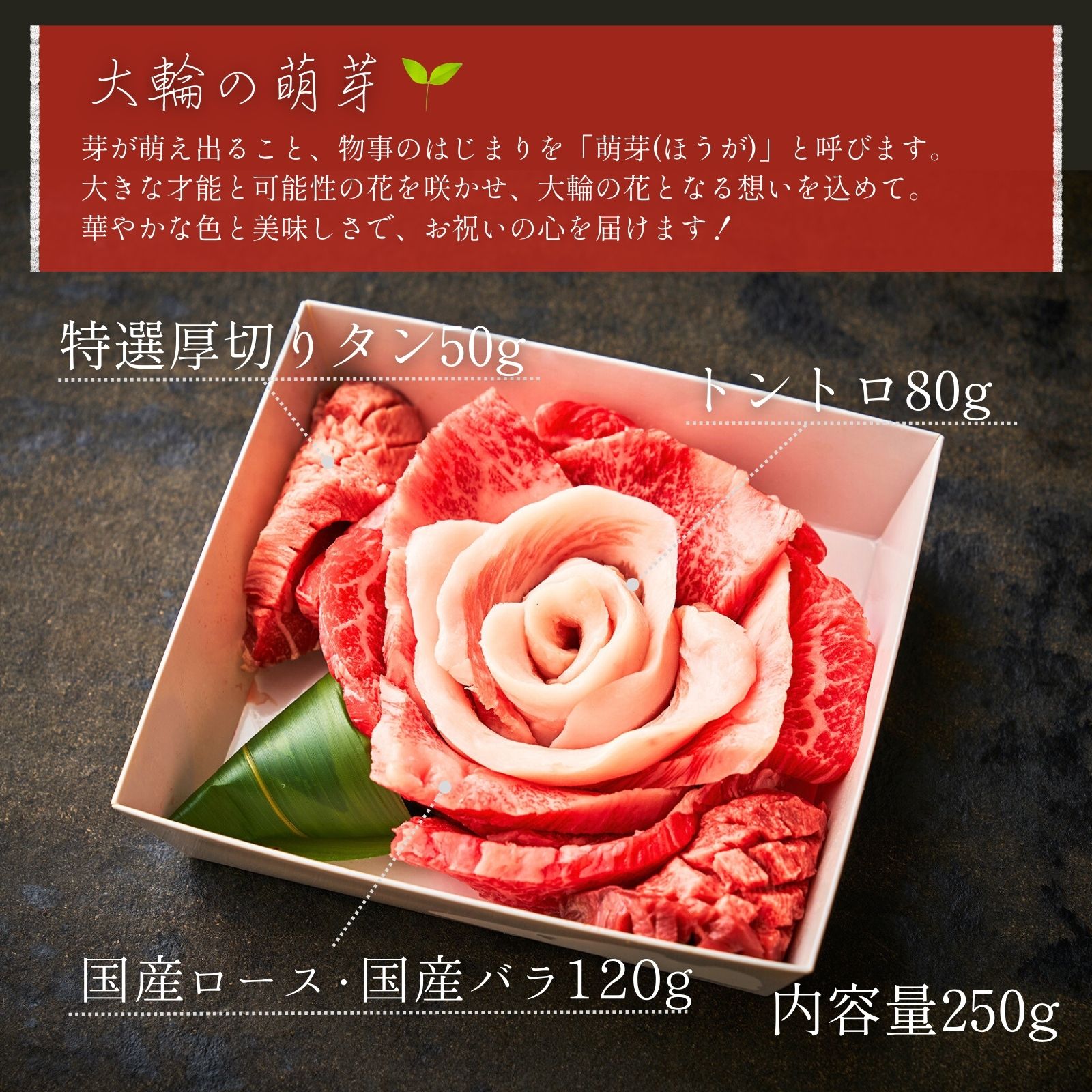 大輪の萌芽 の画像
