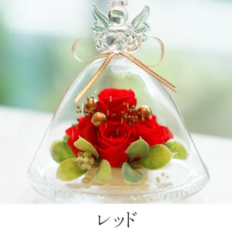 レッド の画像
