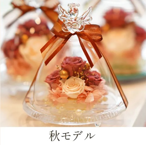 秋モデル の画像