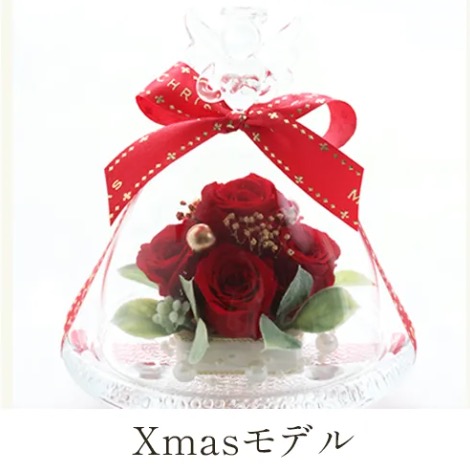 Xmasモデル の画像