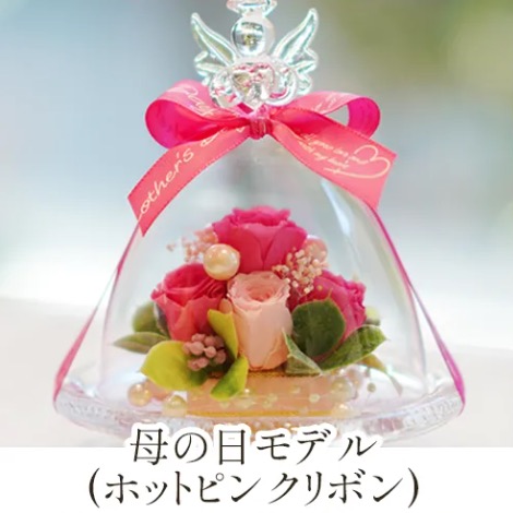 母の日モデル（ホットピンク リボン） の画像