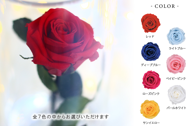 light blue の画像