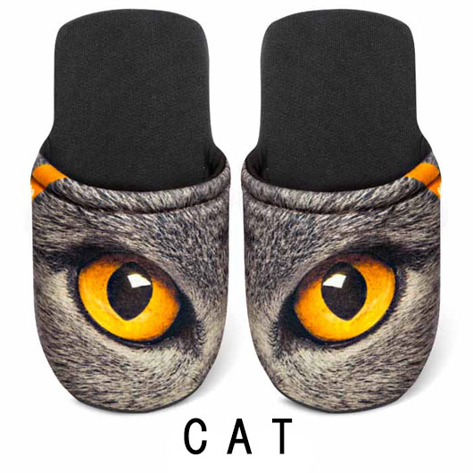 CAT M の画像