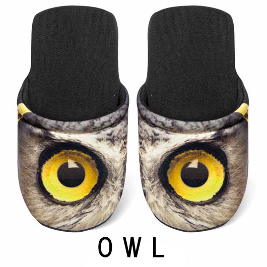 OWL L の画像