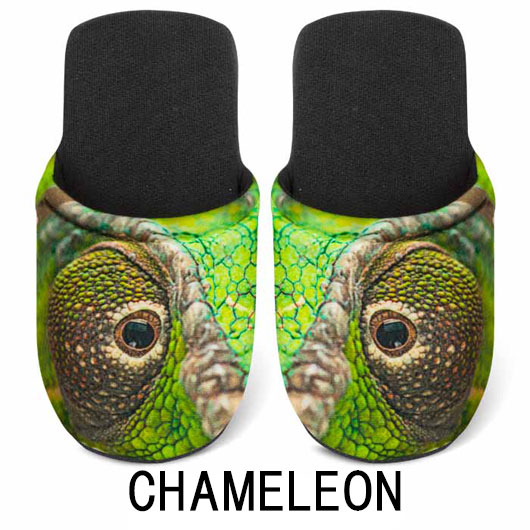CHAMELEON M の画像