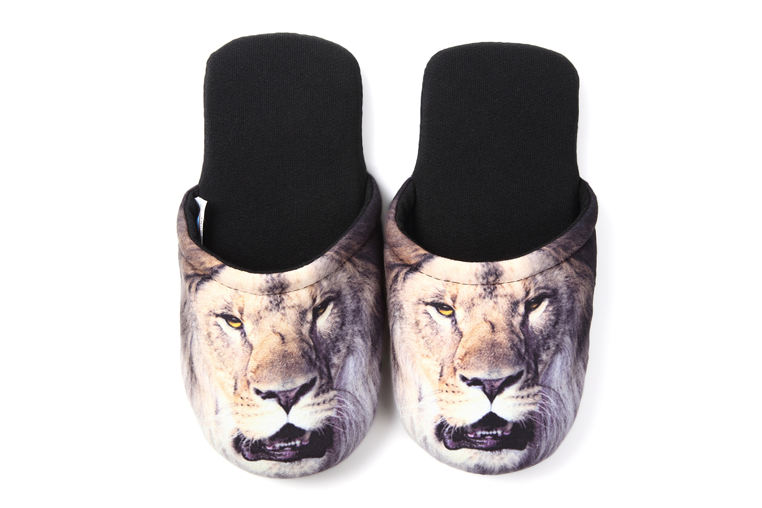 Lion M の画像