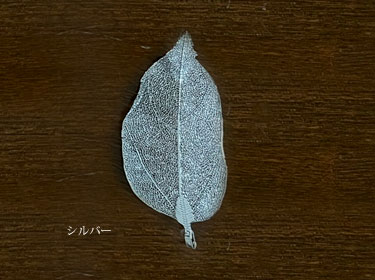 シルバー の画像