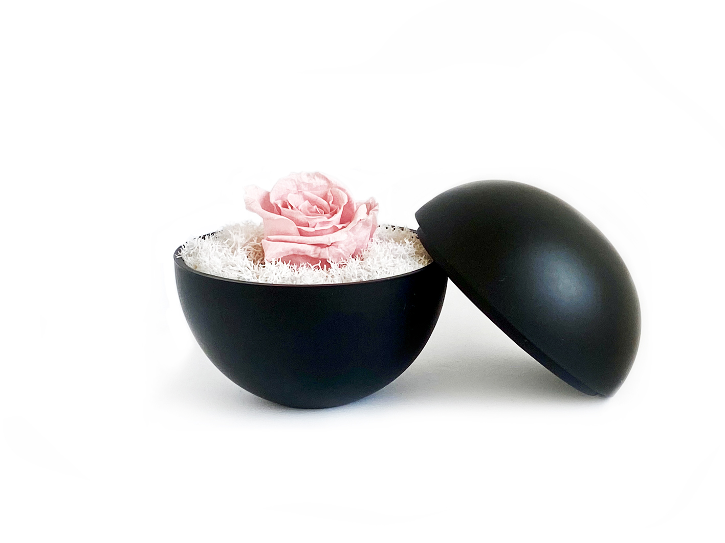 globe : mat black の画像