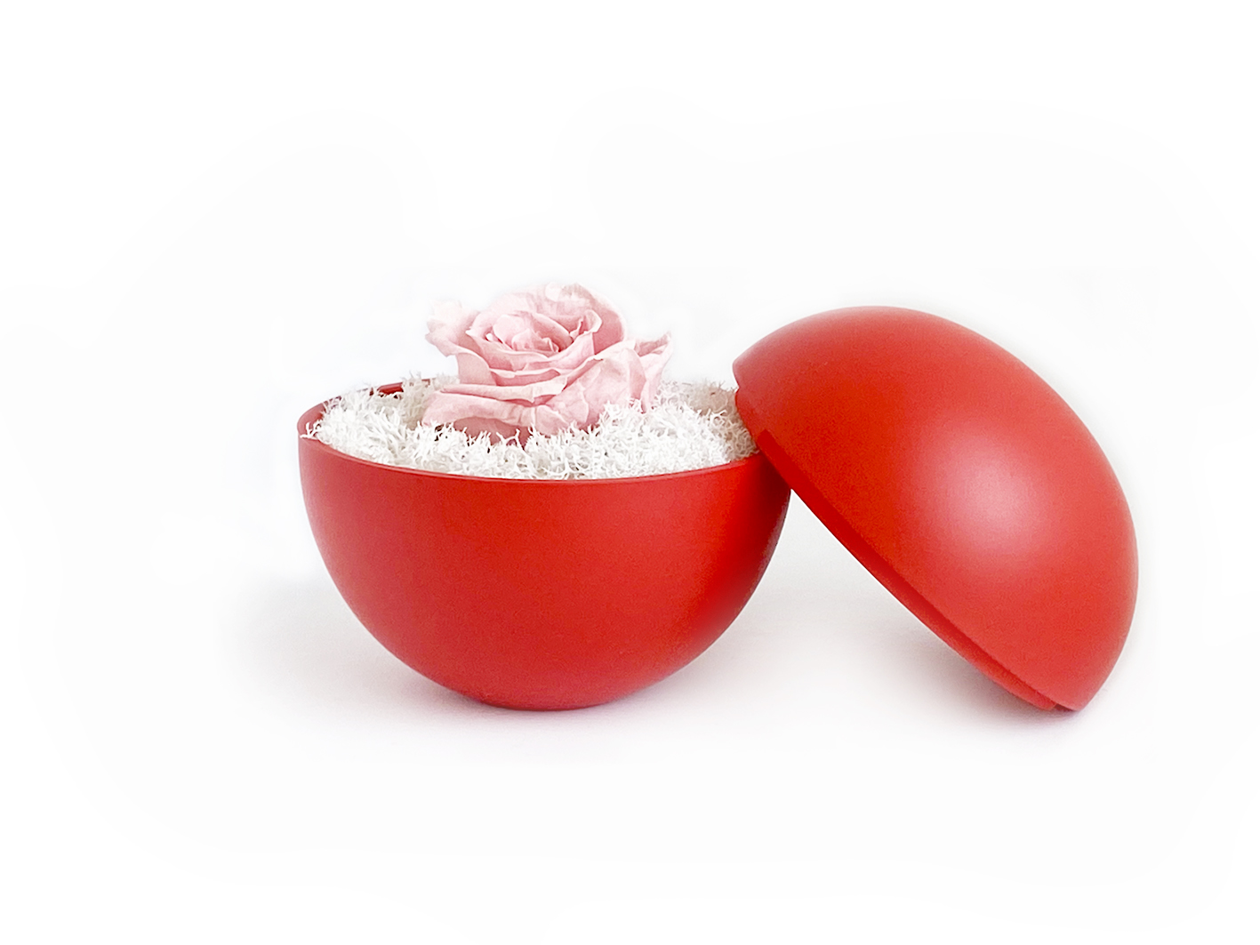 globe : red の画像