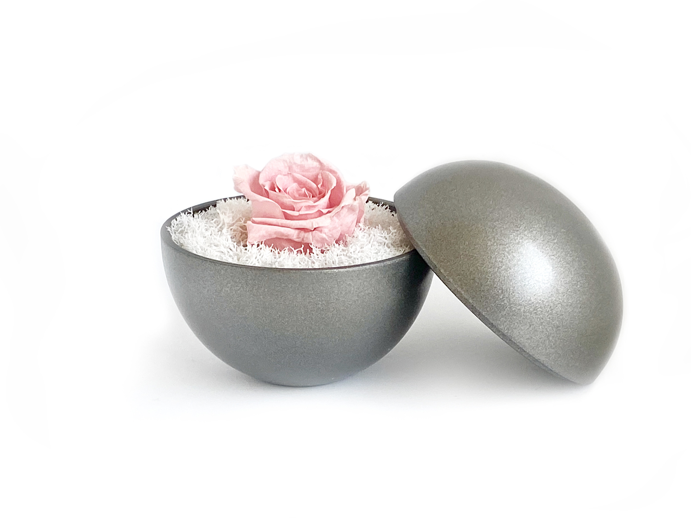globe : silver metallic の画像