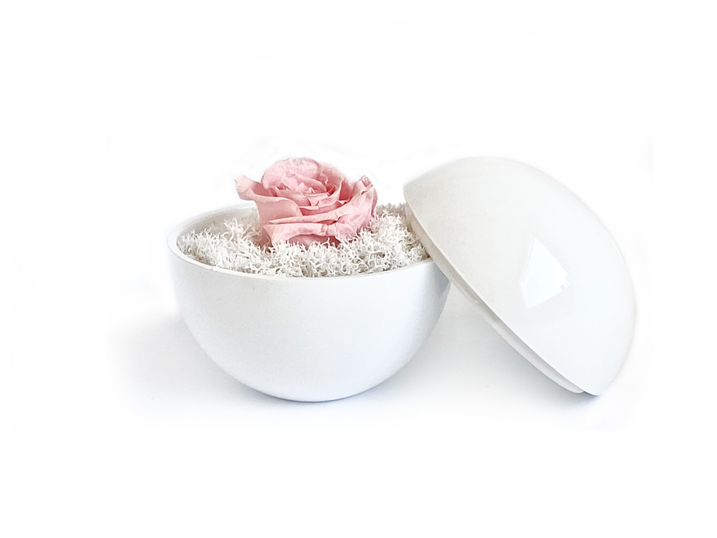globe : glossy white の画像