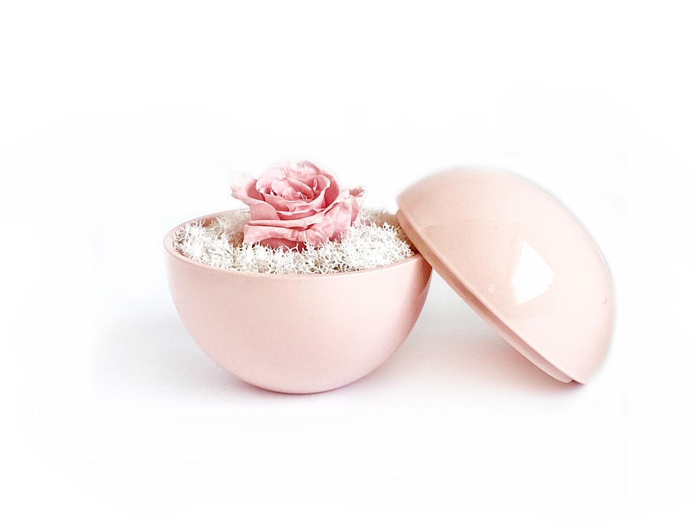 globe : pink の画像