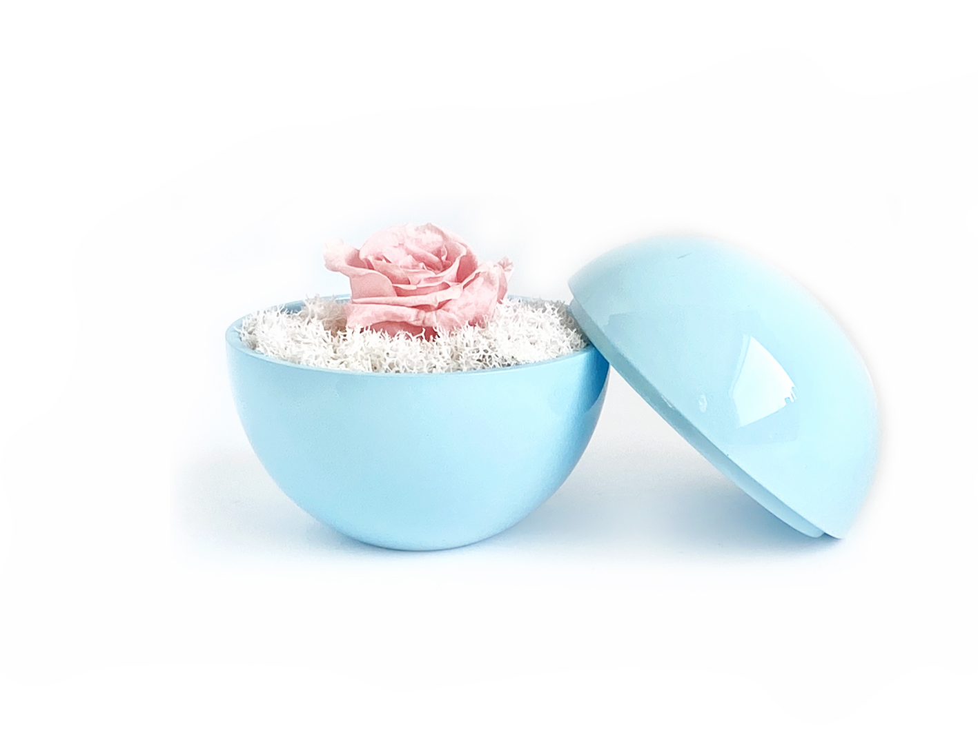 globe : blue の画像
