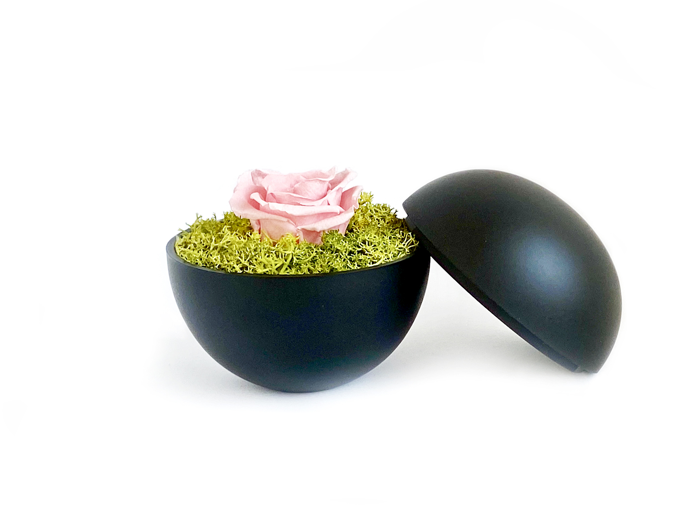 globe : mat black の画像