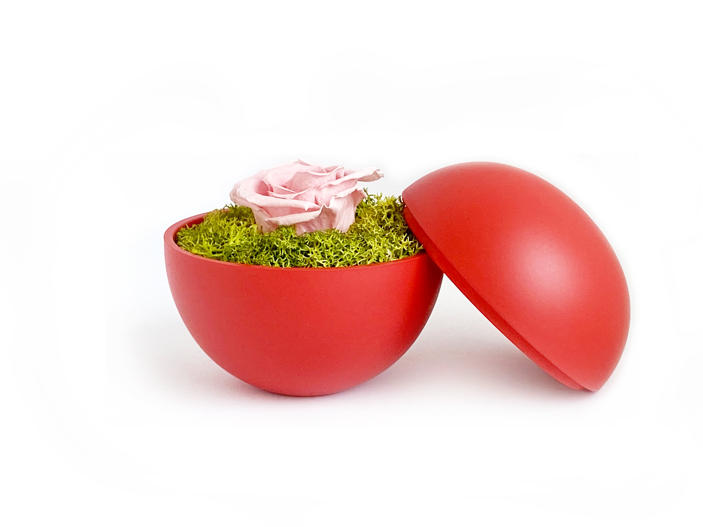 globe : red の画像