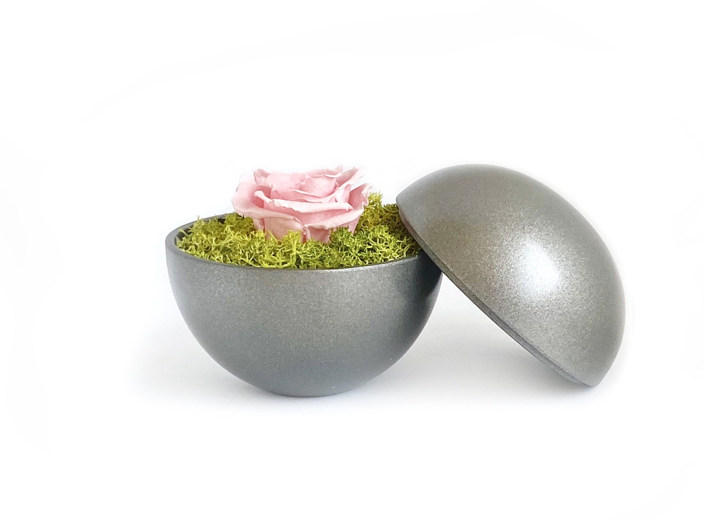 globe : silver metallic の画像