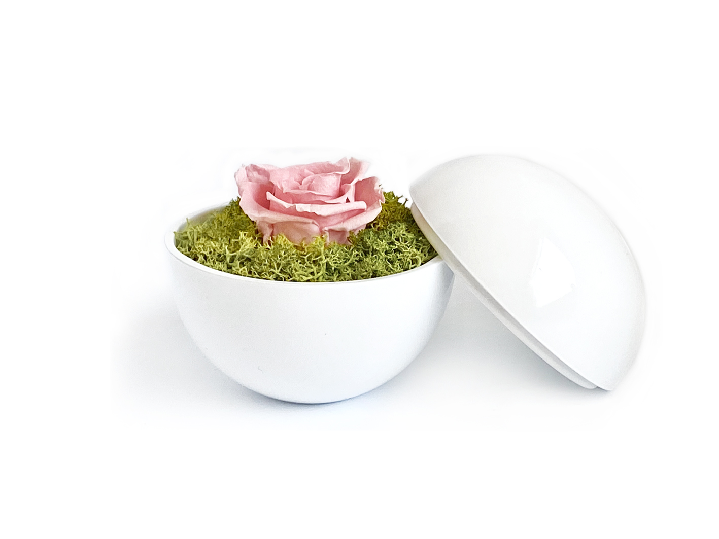 globe : glossy white の画像
