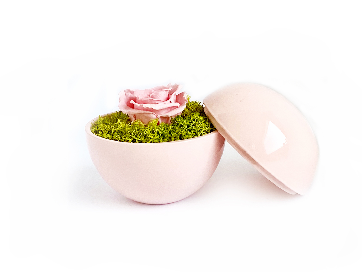 globe : pink の画像