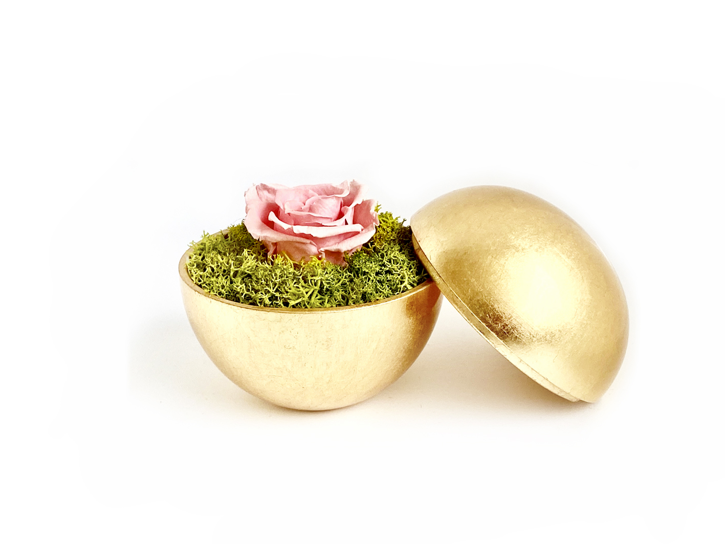 globe : 金箔 の画像