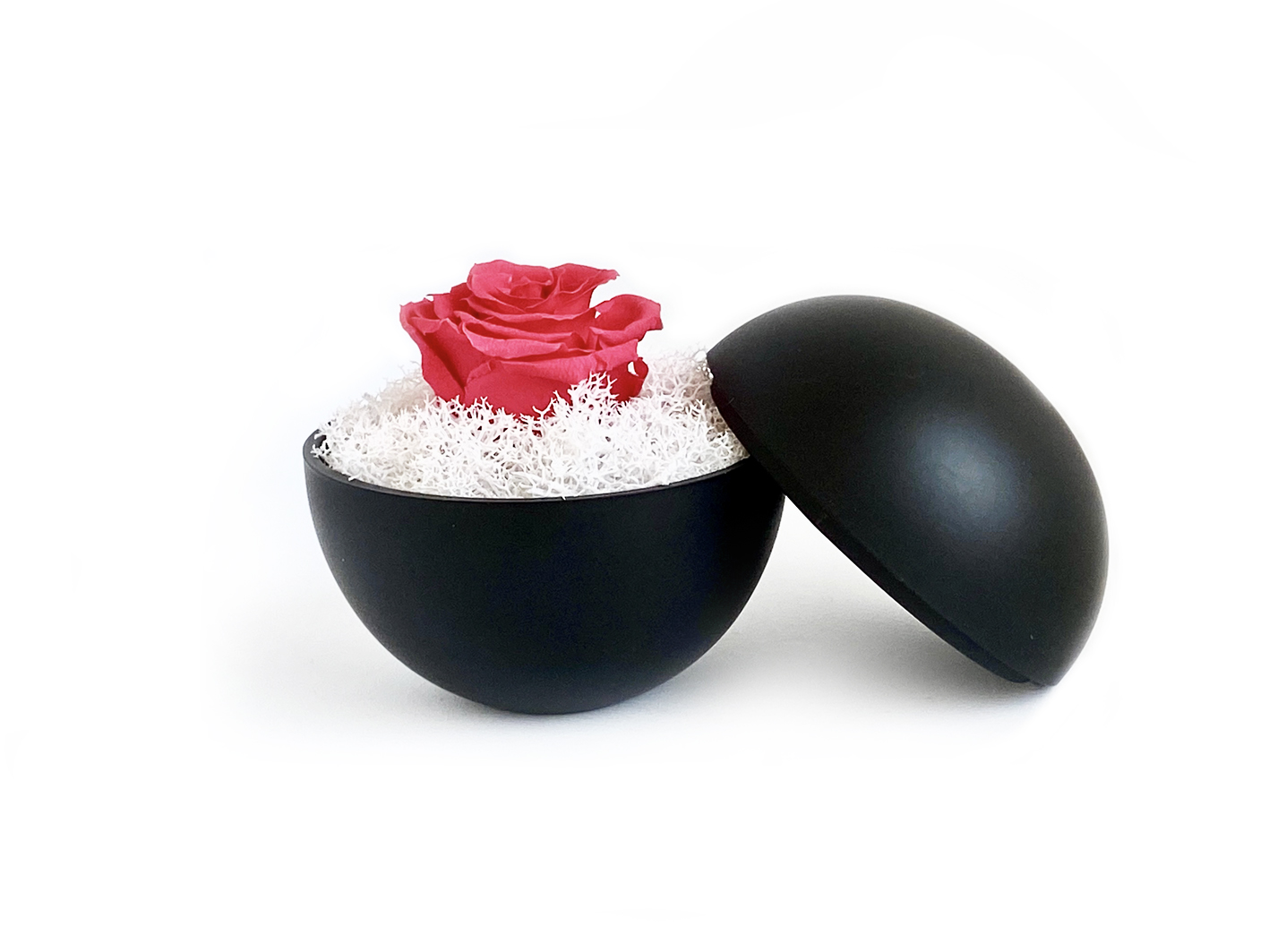globe : mat black の画像