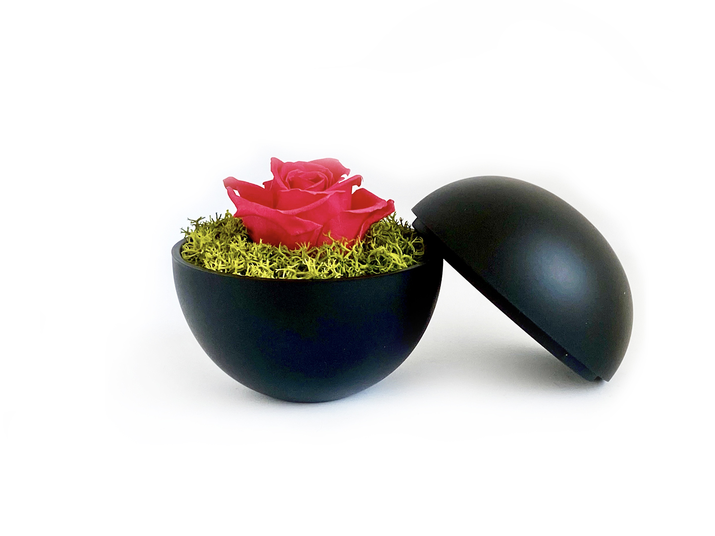 globe : mat black の画像