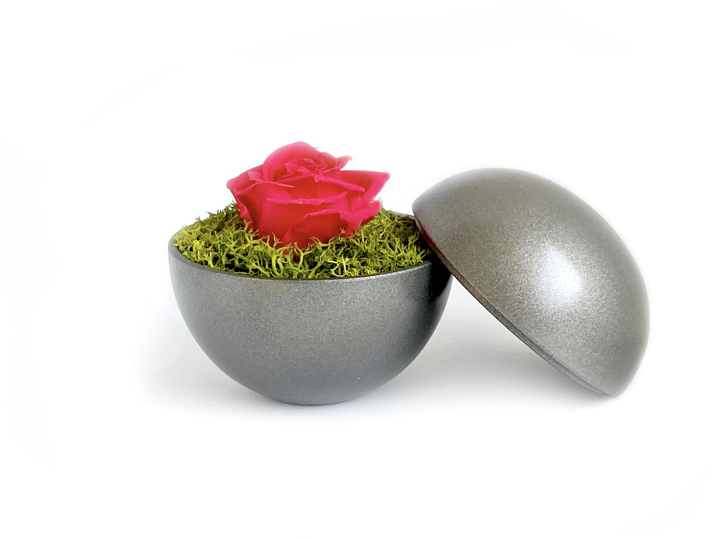 globe : silver metallic の画像