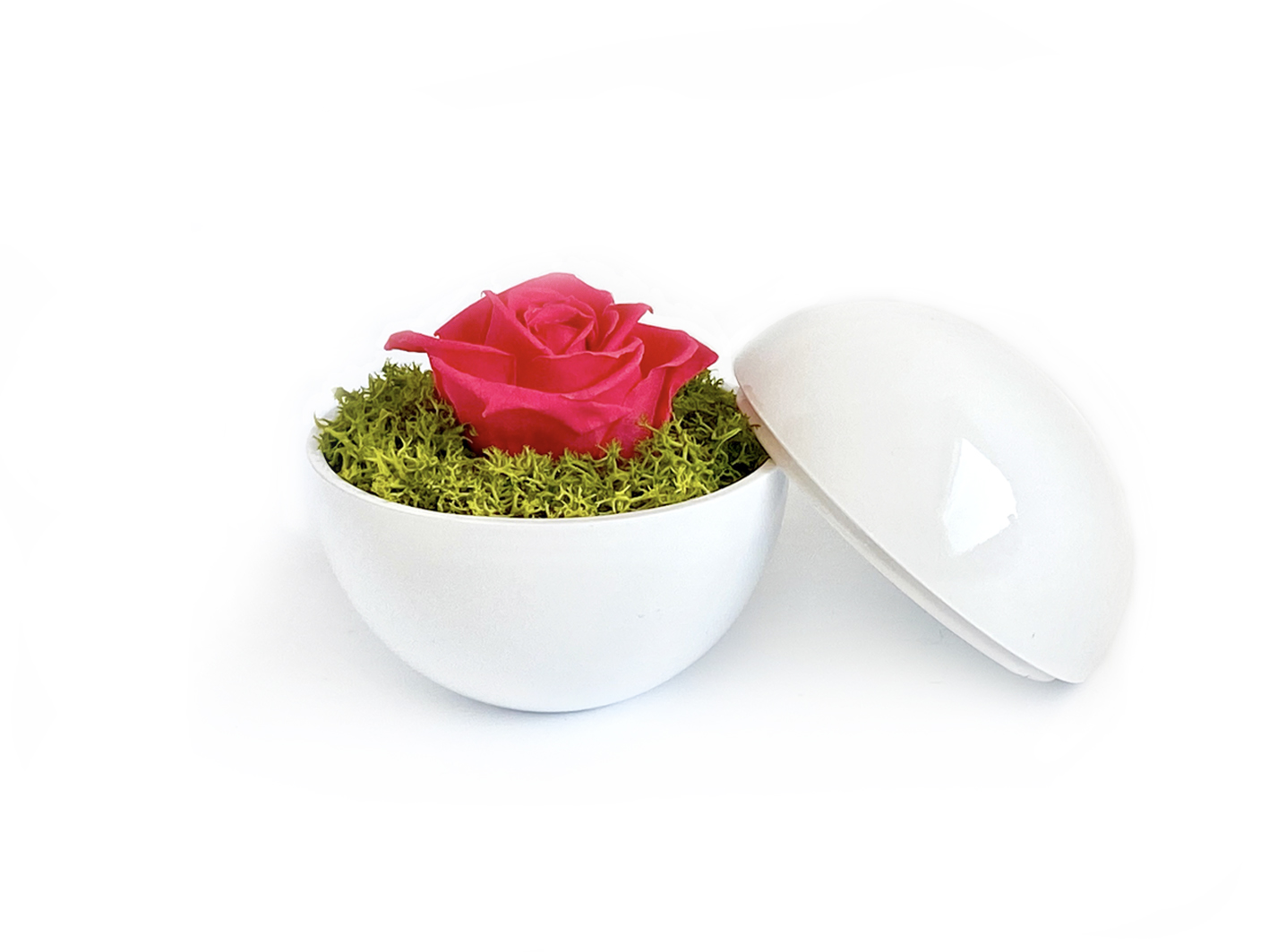 globe : glossy white の画像