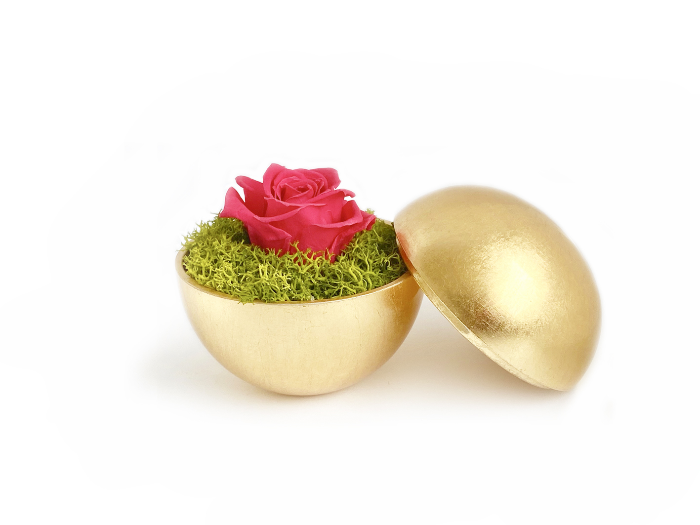globe : 金箔 の画像