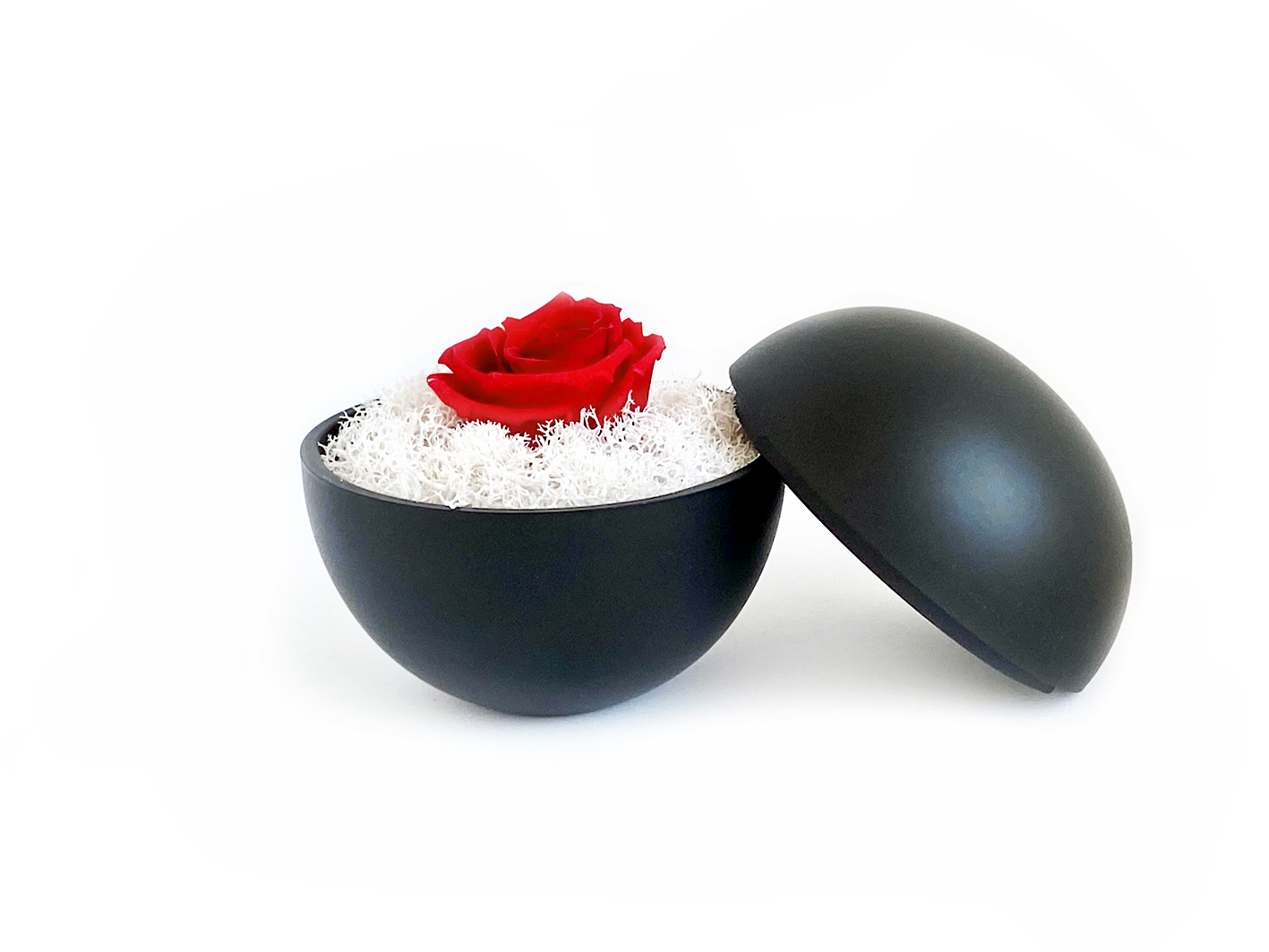 globe : mat black の画像