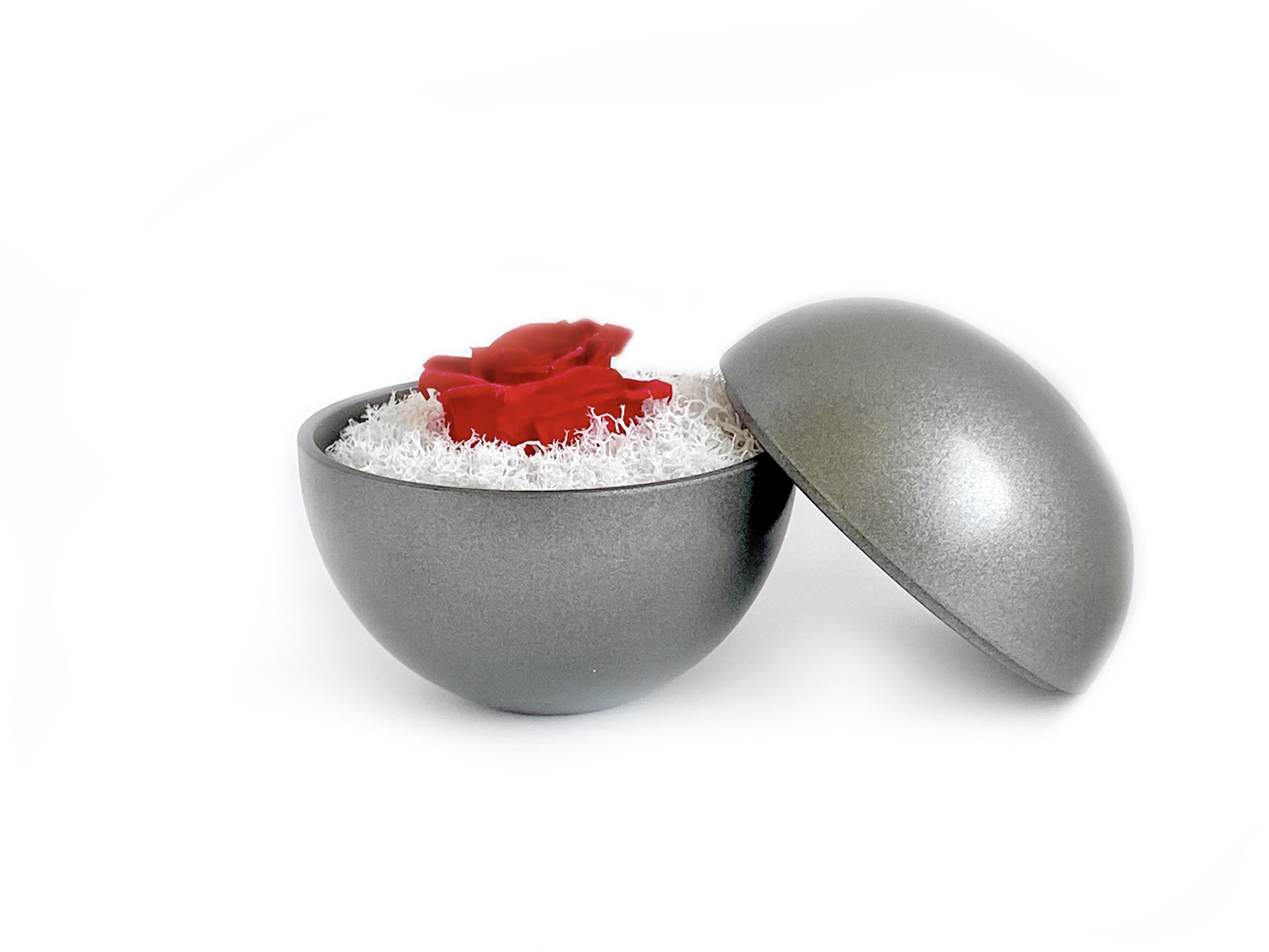 globe : silver metallic の画像
