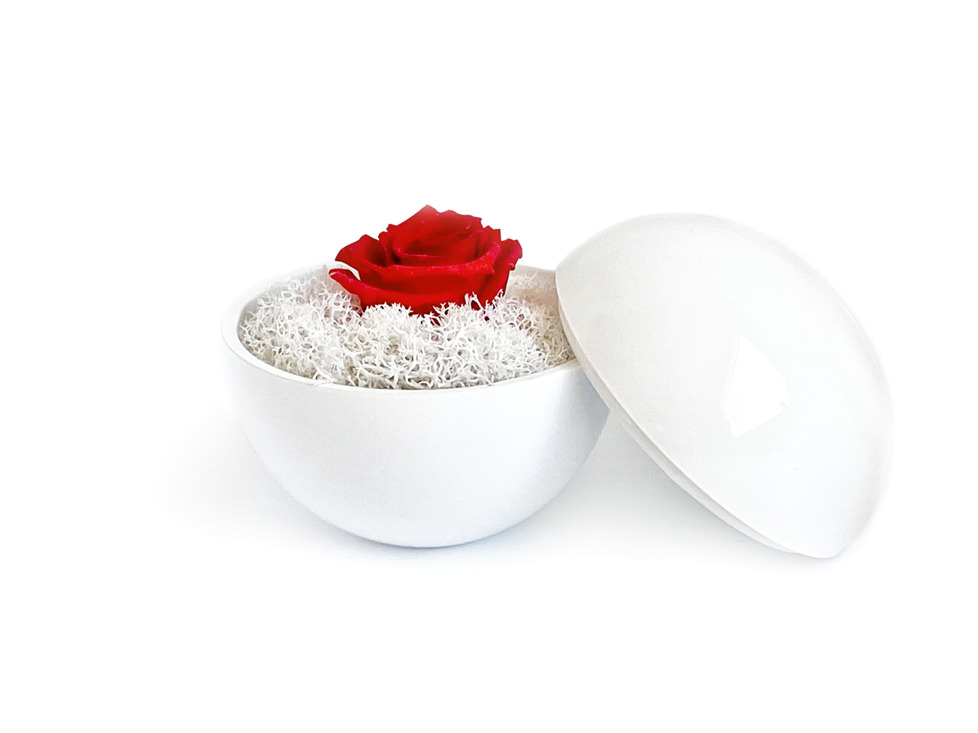 globe : glossy white の画像