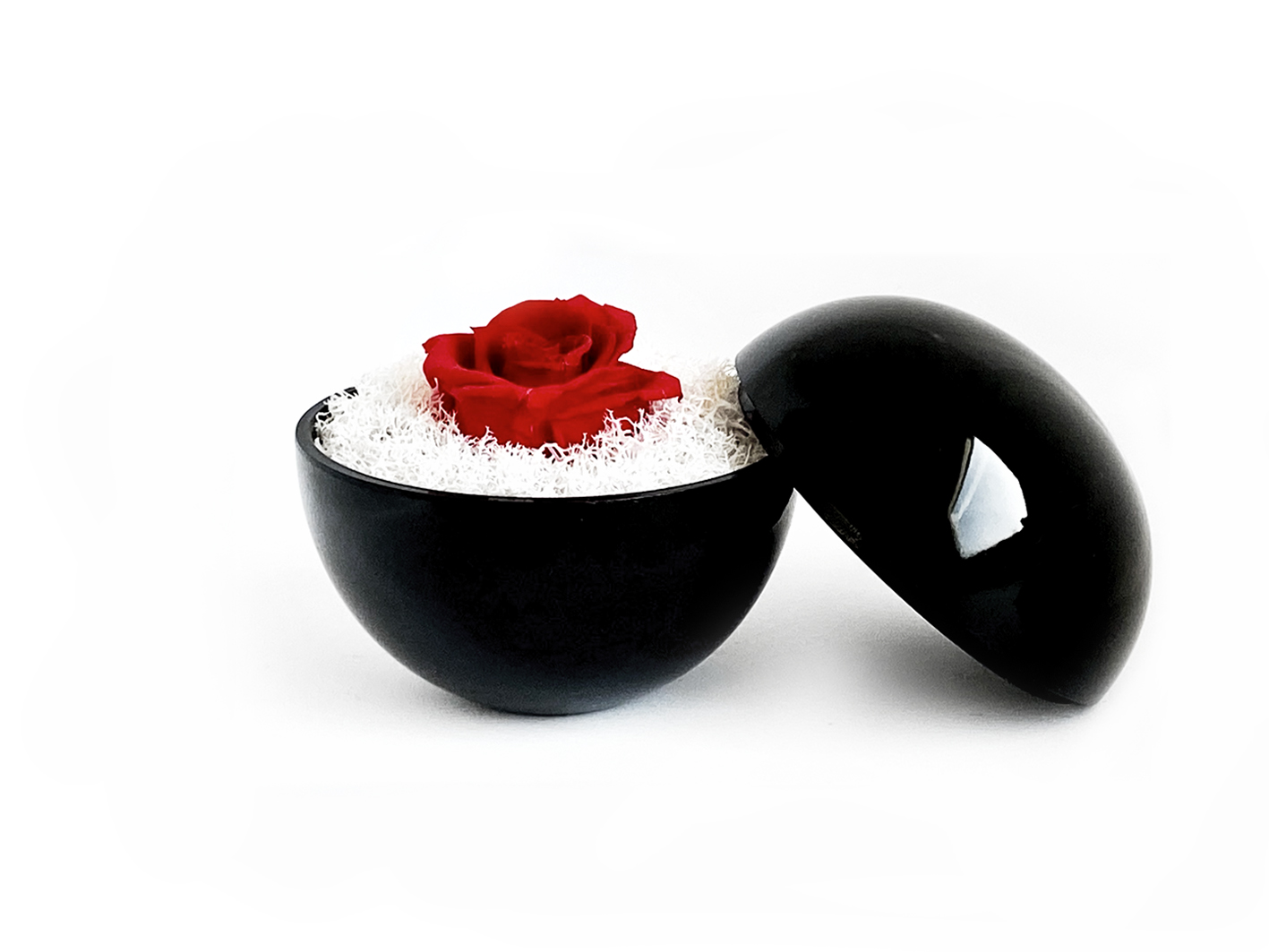 globe : glossy black の画像