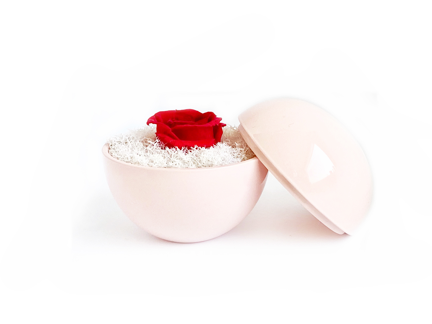 globe : pink の画像