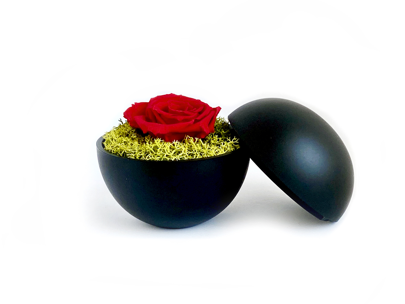 globe : mat black の画像